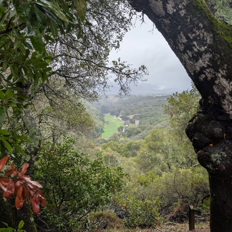 Lady Douglas adventure