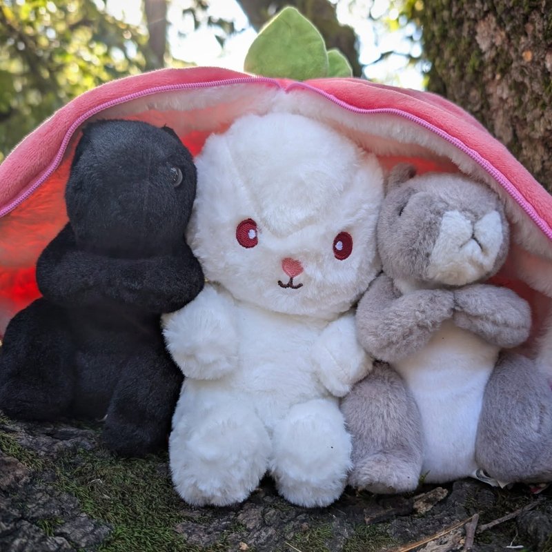 Lady Douglas adventure