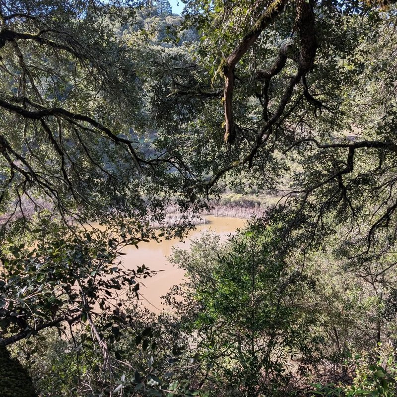 Lady Douglas adventure