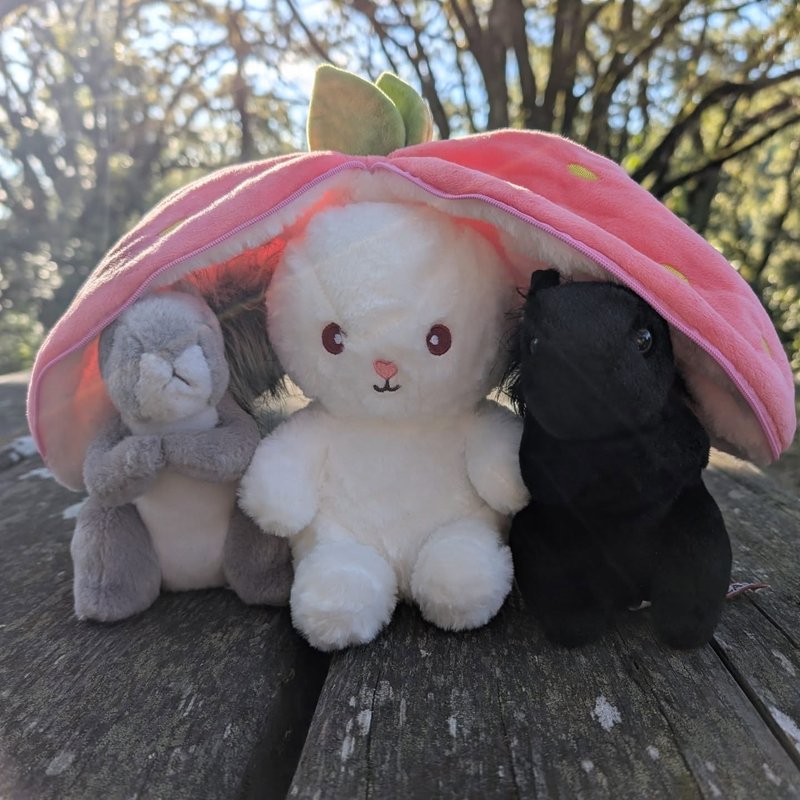 Lady Douglas adventure