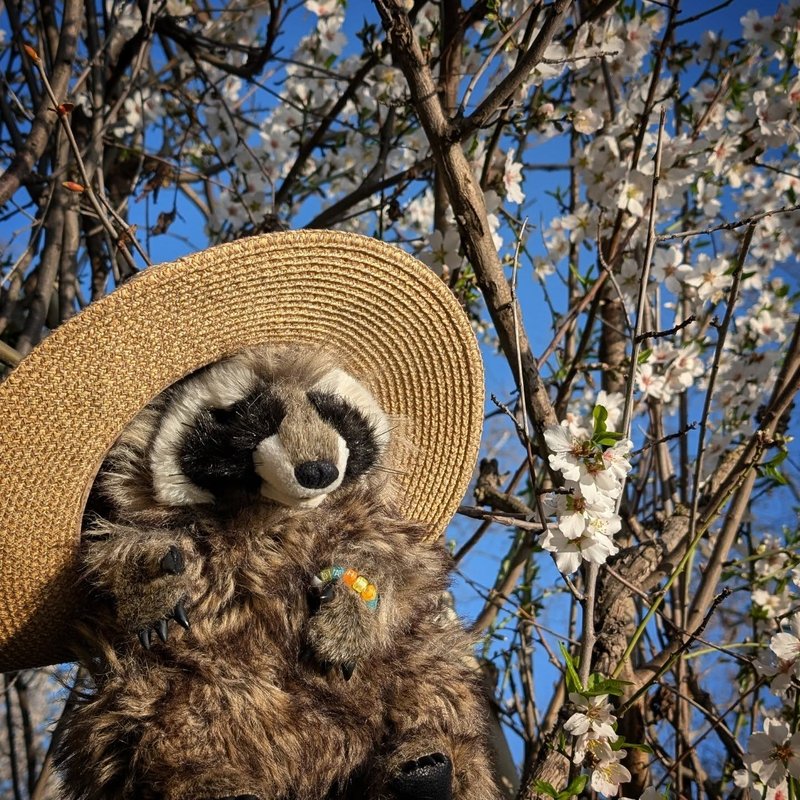 Stuffed squirrel adventure