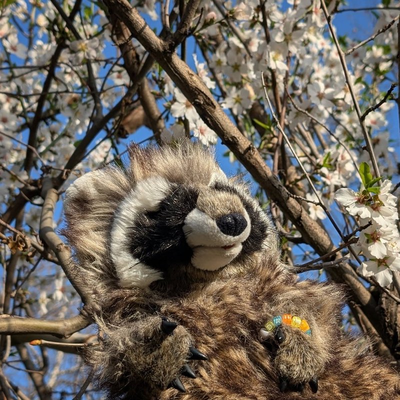 Stuffed squirrel adventure