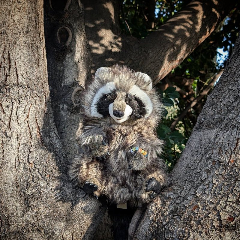 Stuffed squirrel adventure