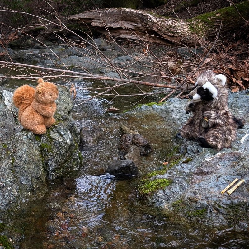 Stuffed squirrel adventure