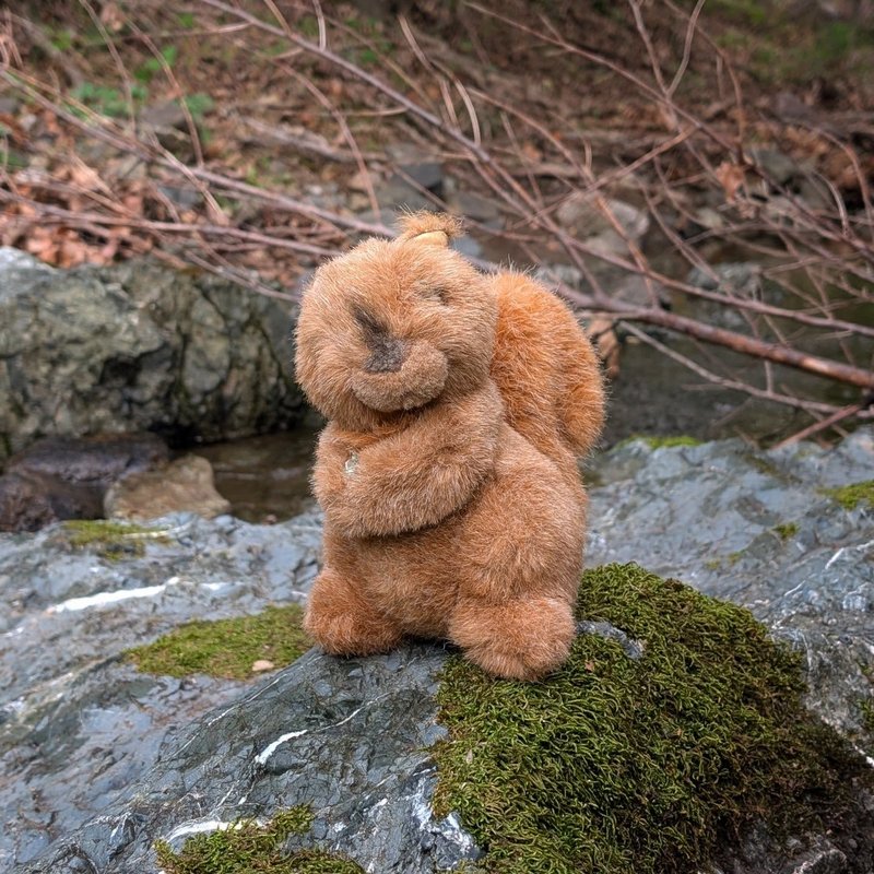 Stuffed squirrel adventure