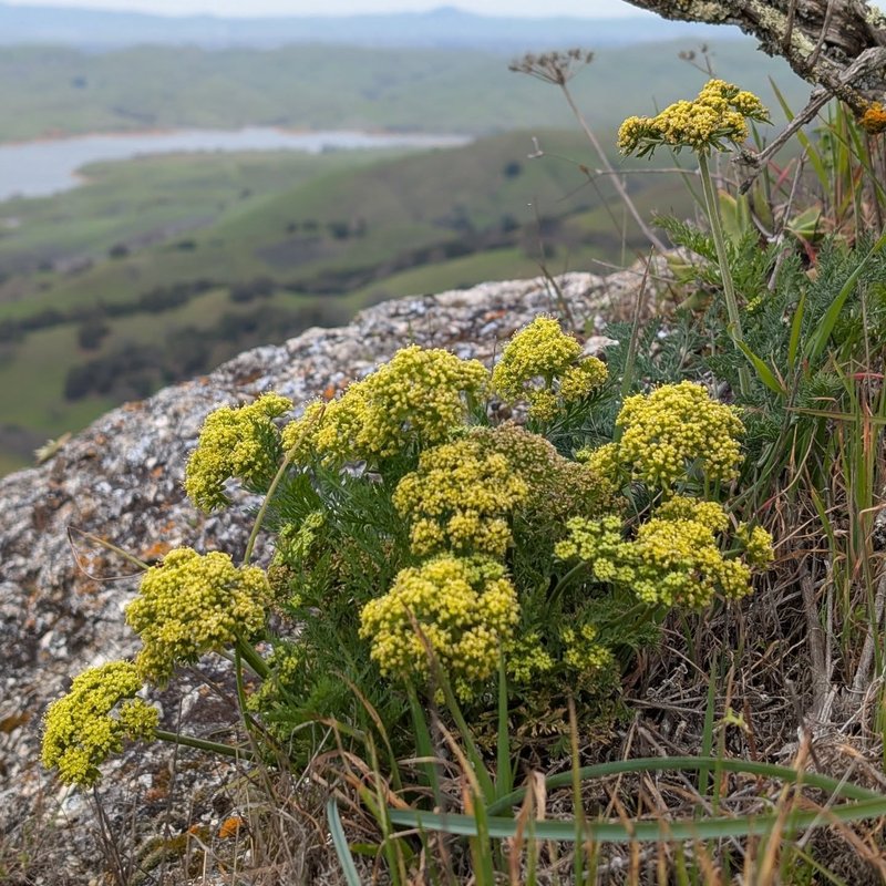 Stuffed squirrel adventure