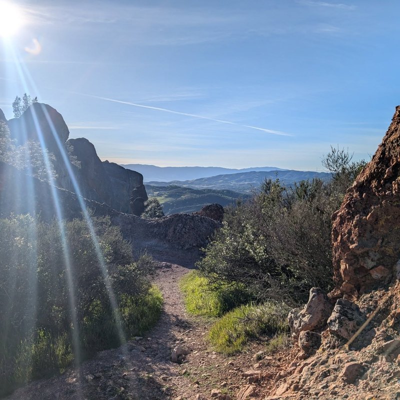 Stuffed squirrel adventure