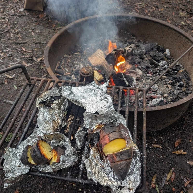 Stuffed squirrel adventure