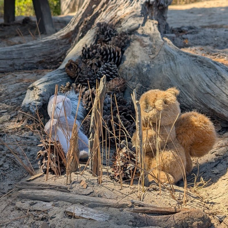 Stuffed squirrel adventure
