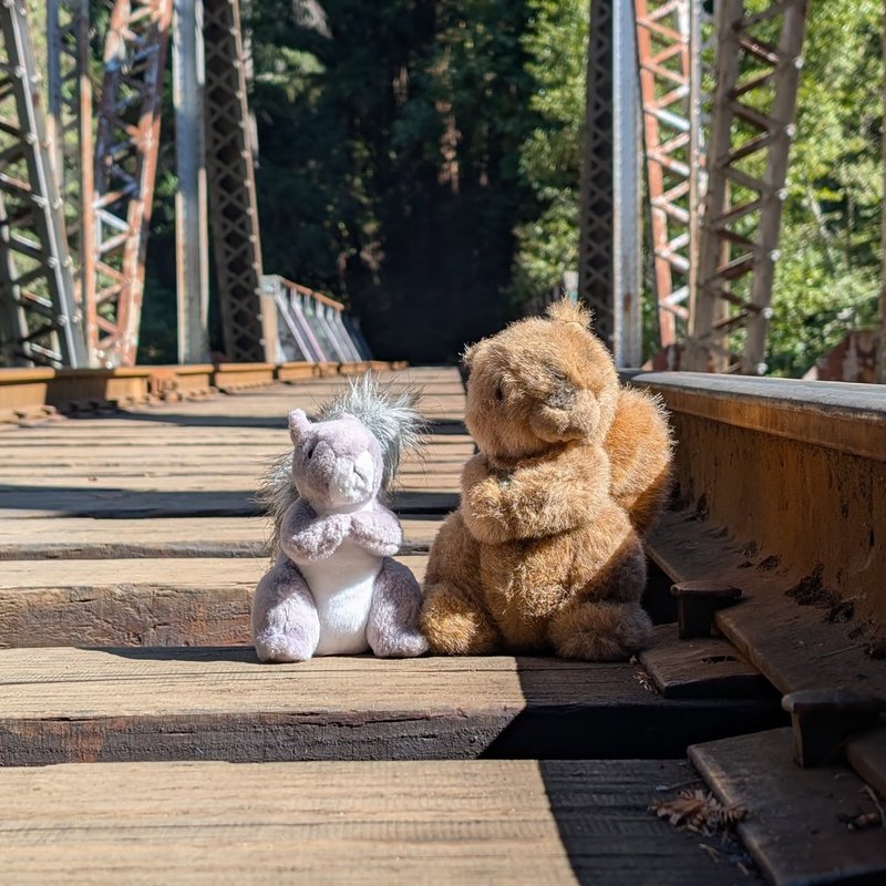 Stuffed squirrel adventure