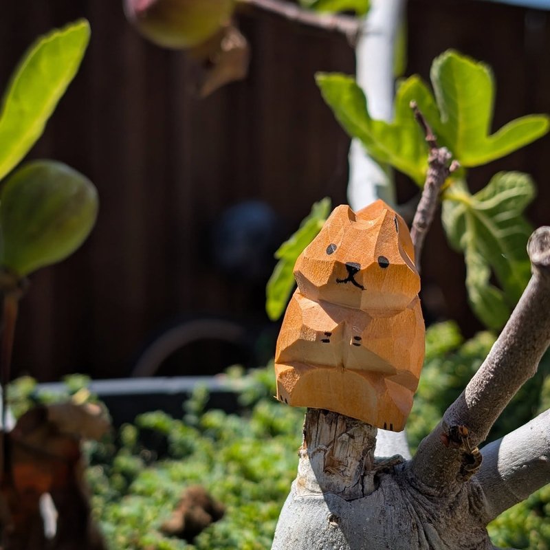 Stuffed squirrel adventure