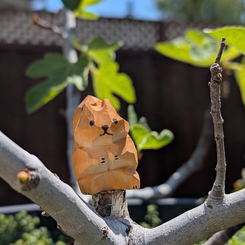 Stuffed squirrel adventure
