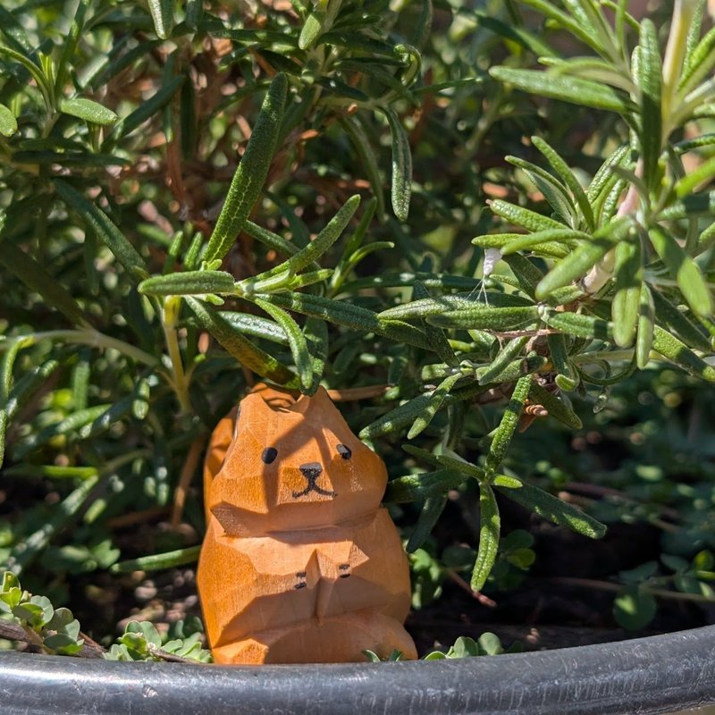 Stuffed squirrel adventure