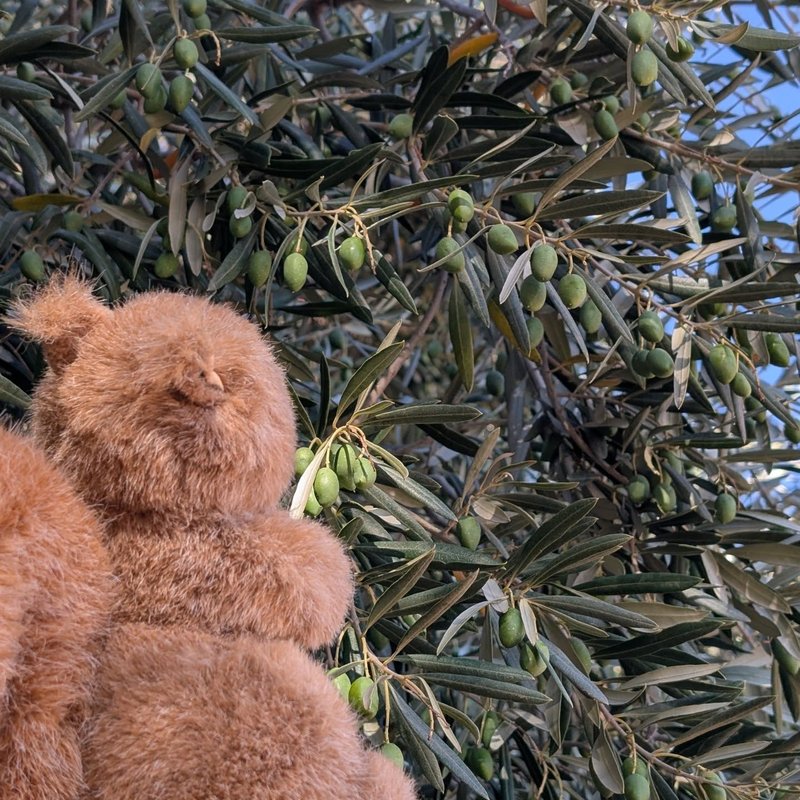 Stuffed squirrel adventure