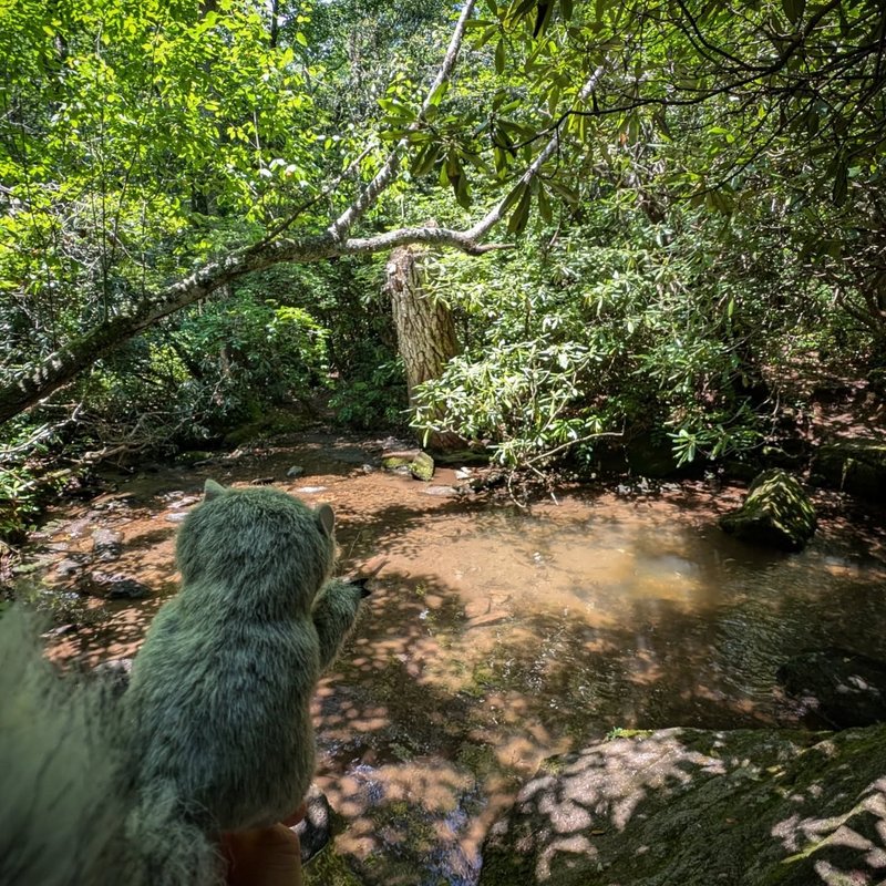 Glorbo adventure