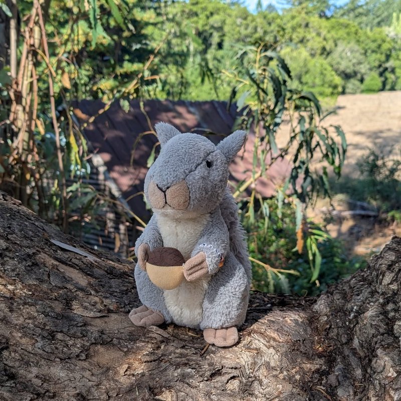 Stuffed squirrel adventure