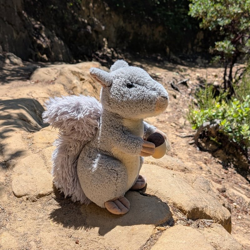 Kankan adventure