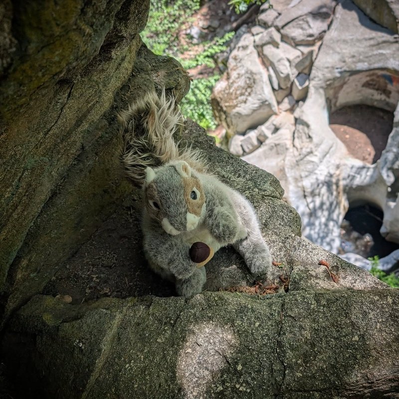 Squeaker adventure