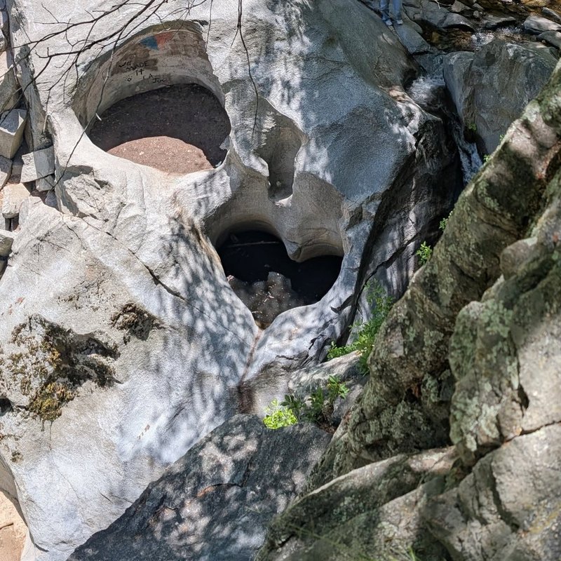 Squeaker adventure