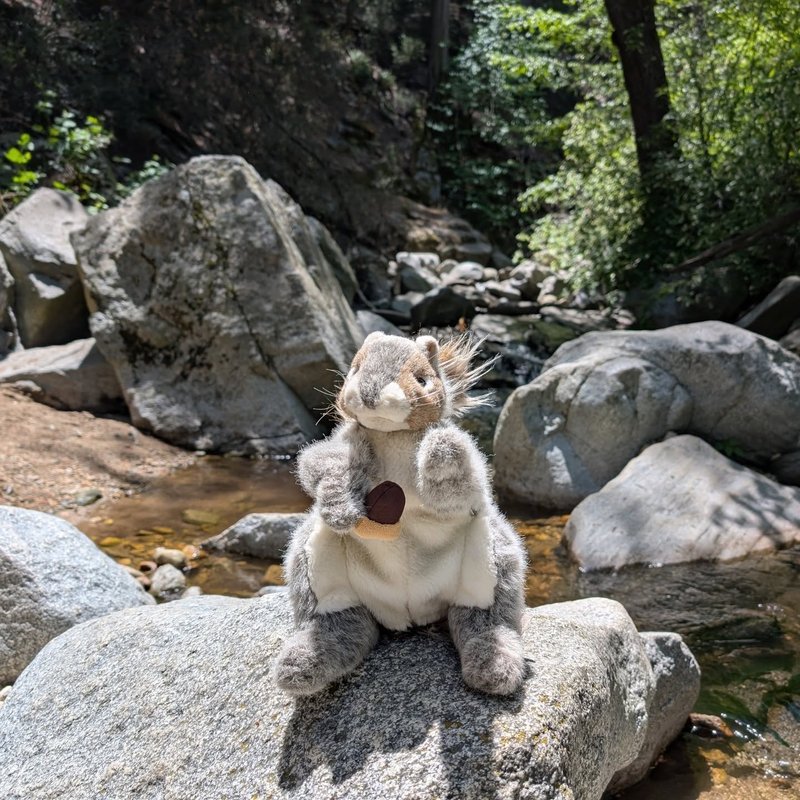 Squeaker adventure