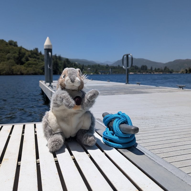 Squeaker adventure