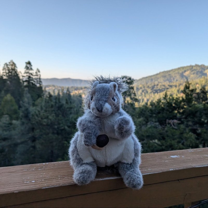 Squeaker adventure