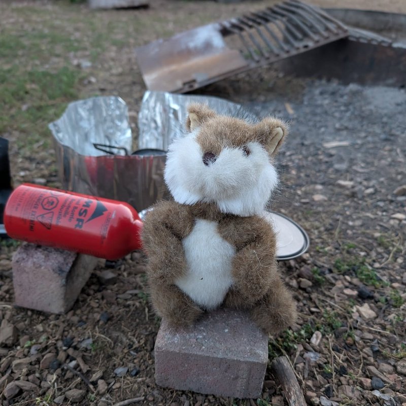 Lawrence adventure