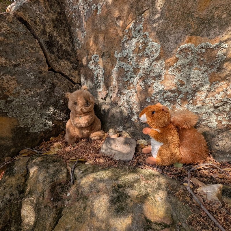 Sovty adventure