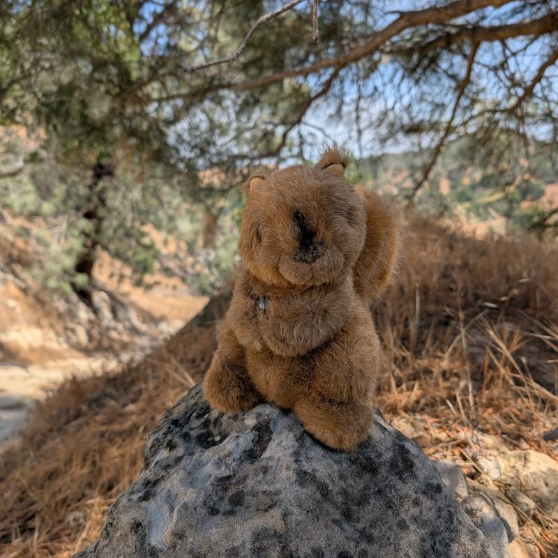 Sovty adventure