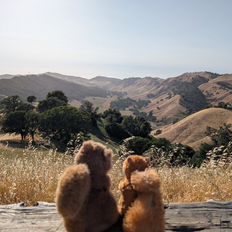 Sovty adventure