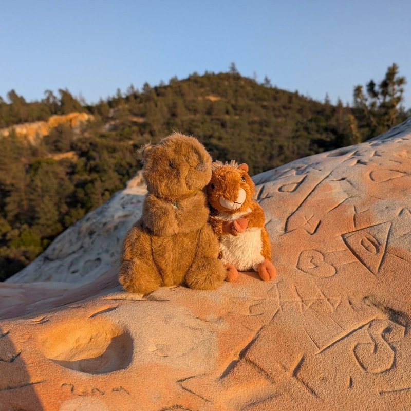 Sovty adventure