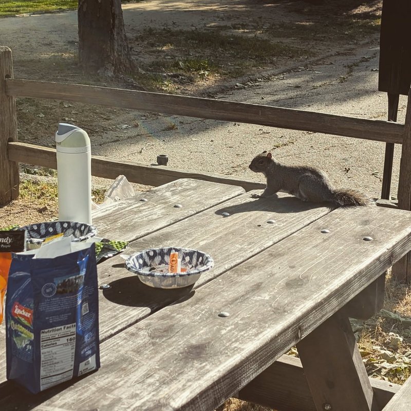Squeaker adventure