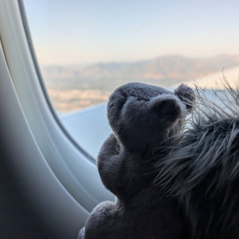 Lady Douglas adventure