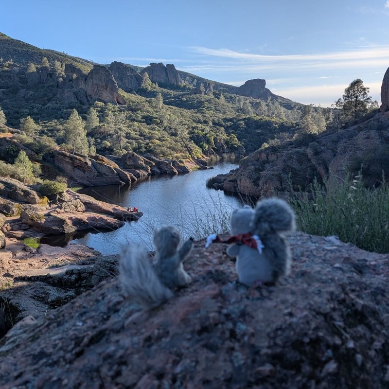 Glorbo adventure