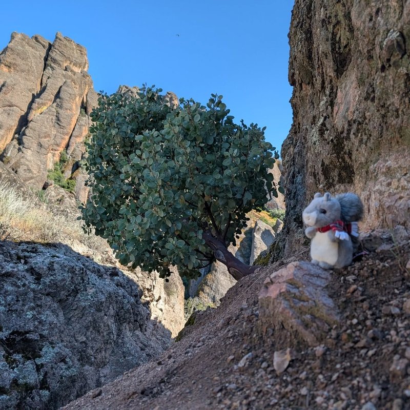Glorbo adventure