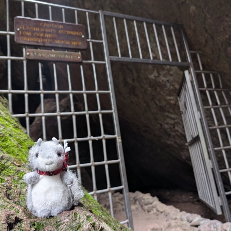Glorbo adventure