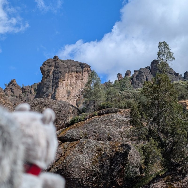 Glorbo adventure