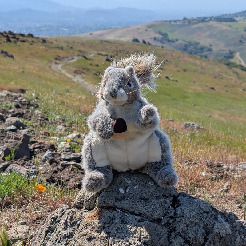 Squeaker adventure