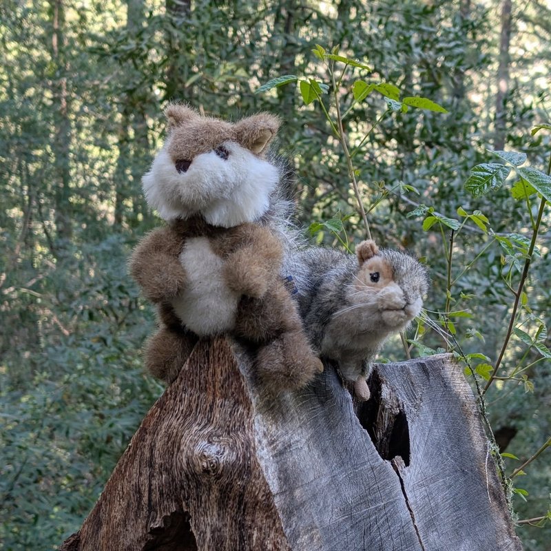 Pineseeker adventure