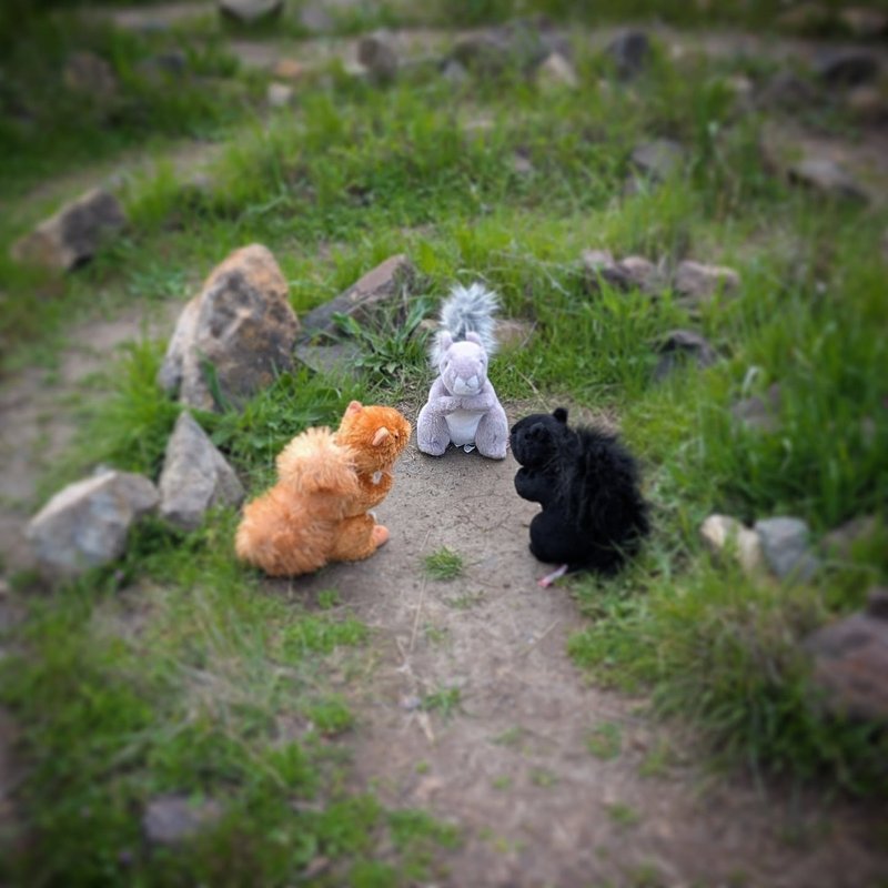 Lady Douglas adventure