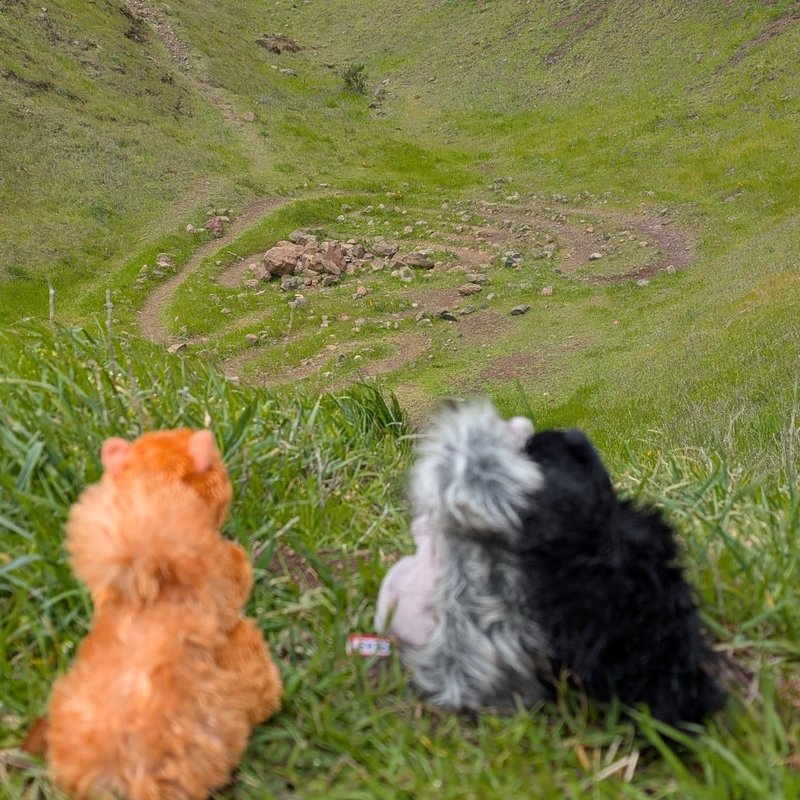 Lady Douglas adventure