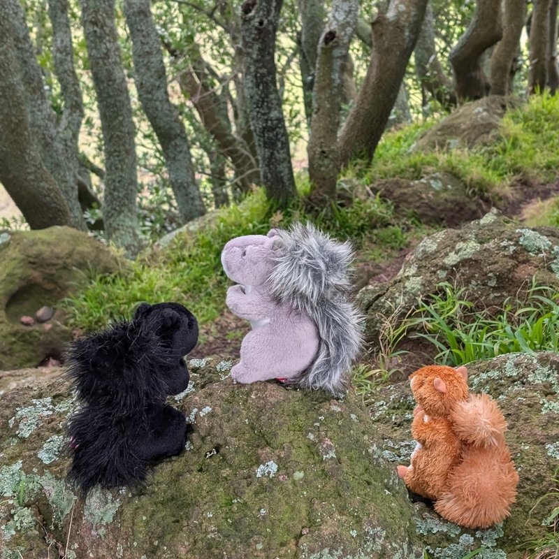 Lady Douglas adventure