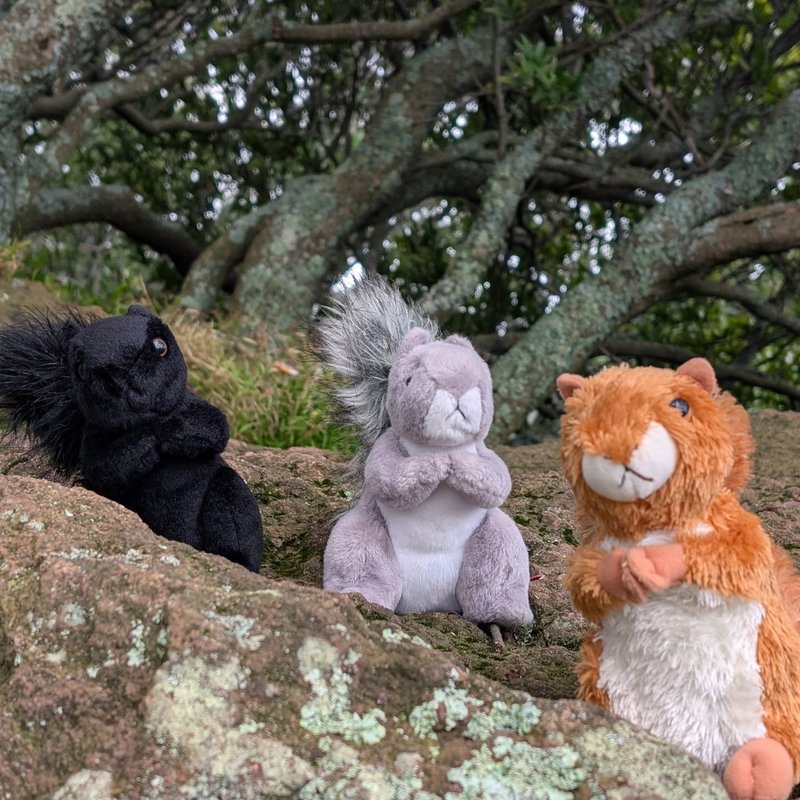 Lady Douglas adventure