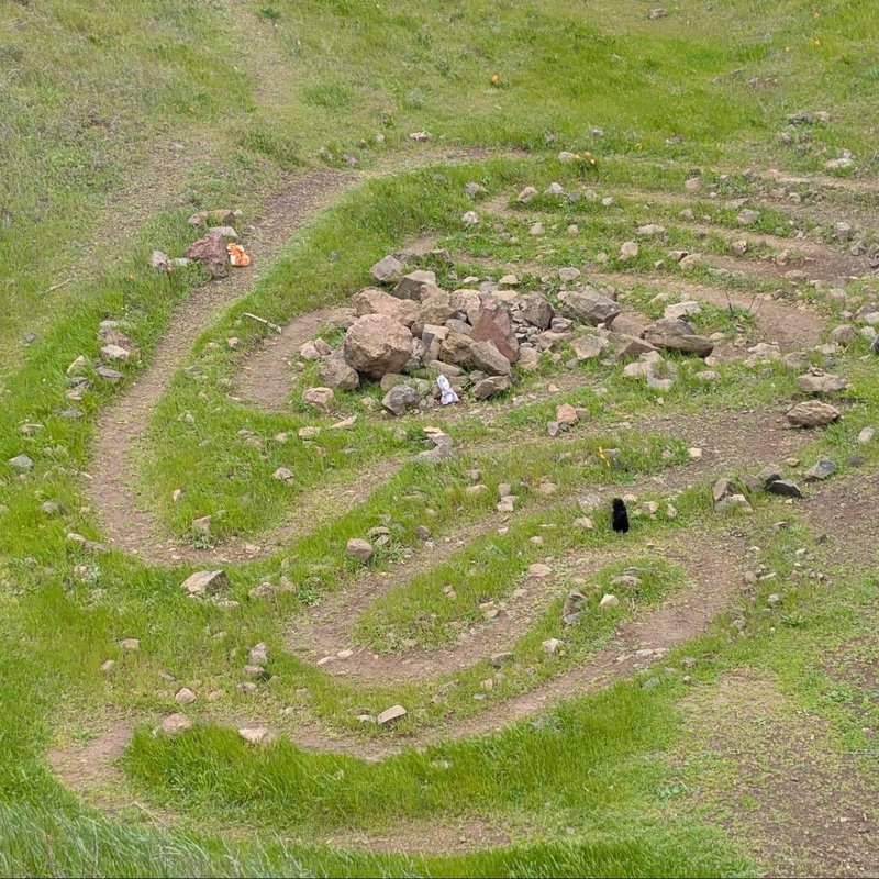 Lady Douglas adventure