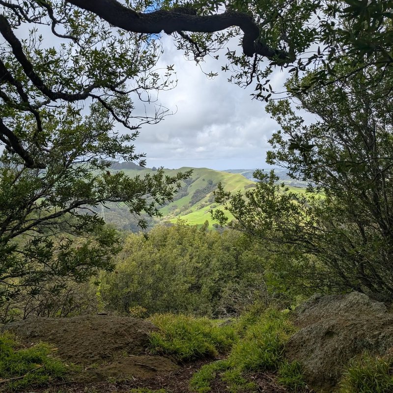 Lady Douglas adventure