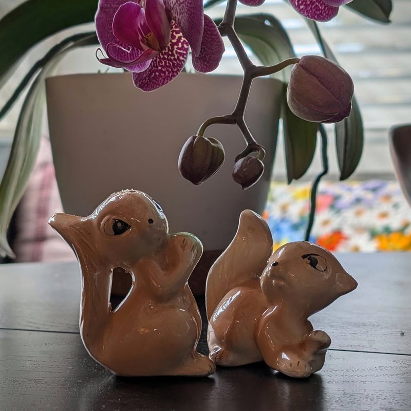 Stuffed squirrel adventure