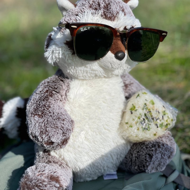 Rizz adventure
