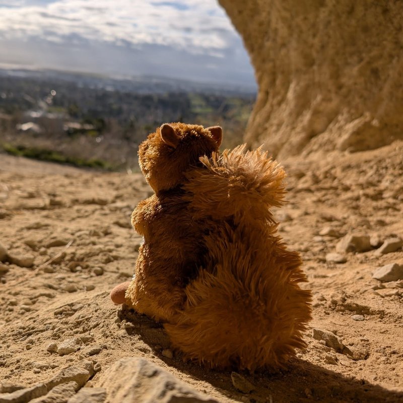 Prospector adventure