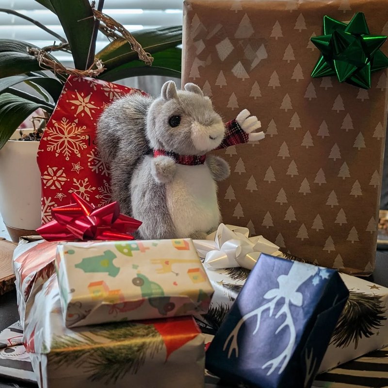 Stuffed squirrel adventure