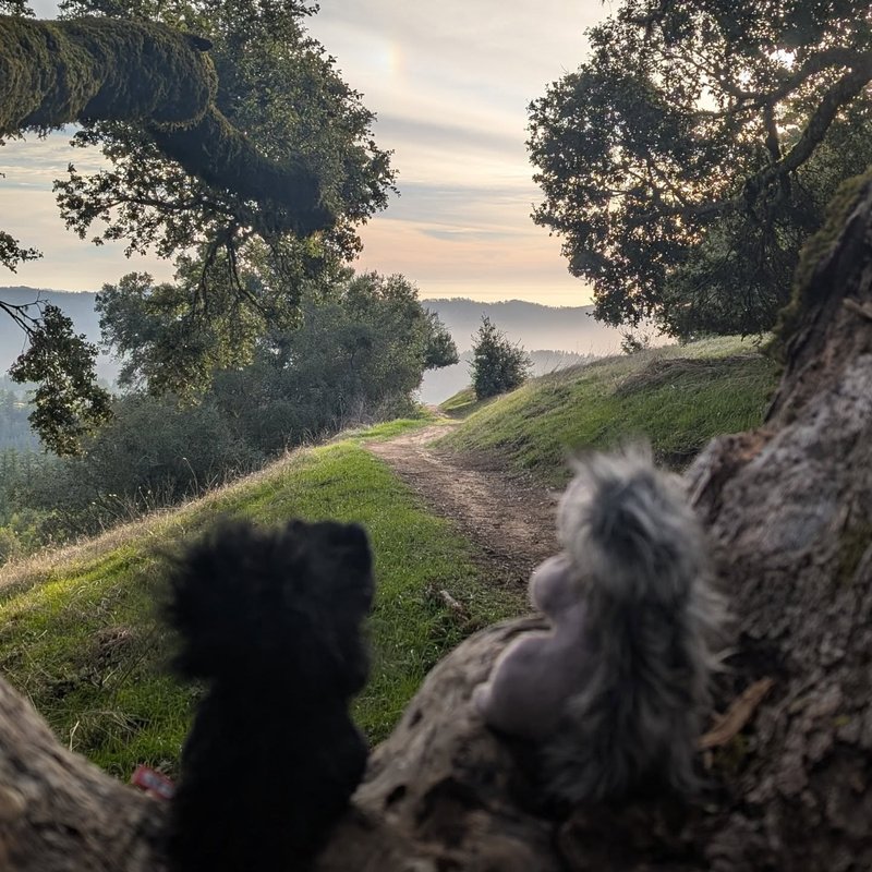 Lady Douglas adventure